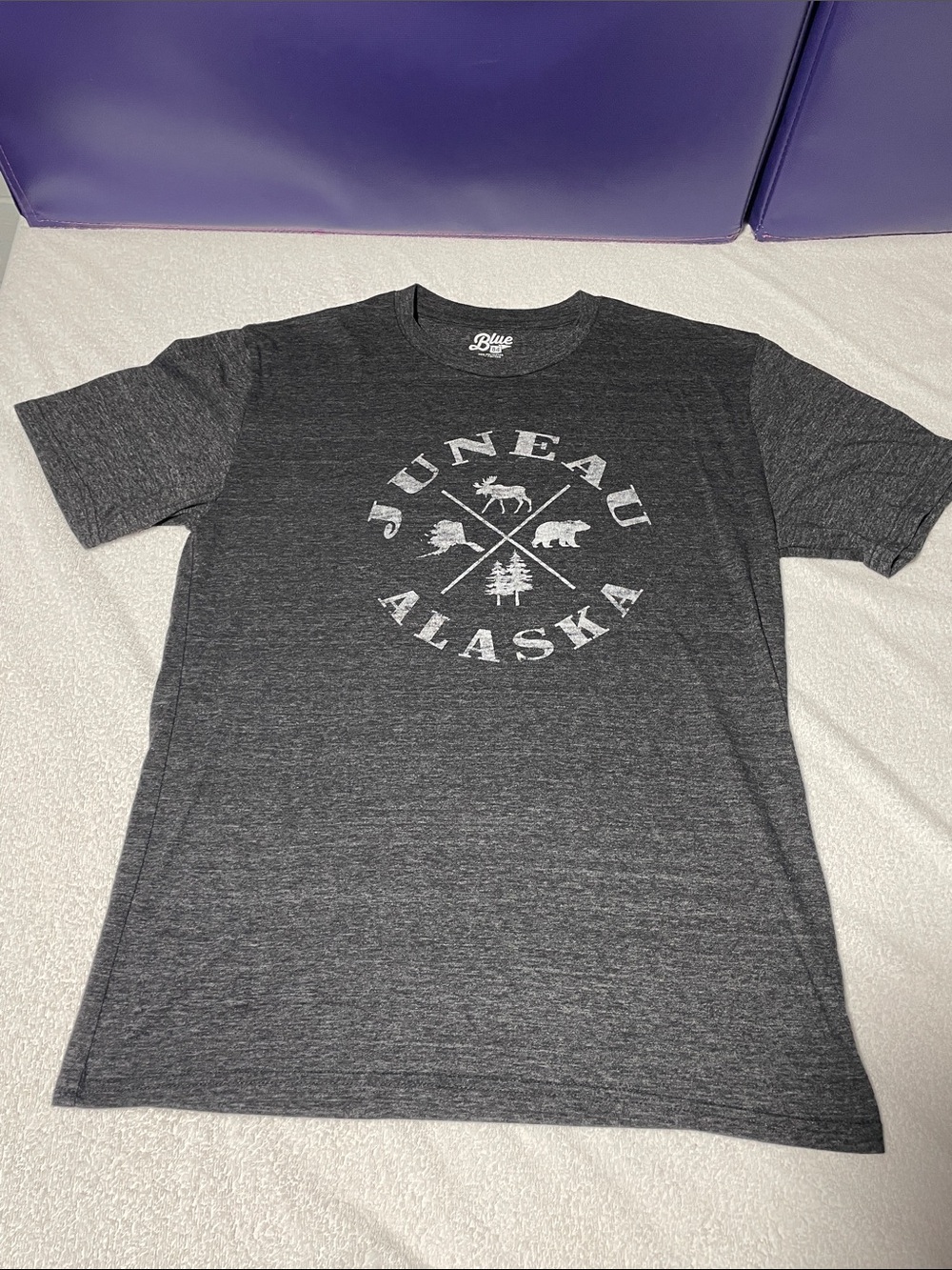 Blue 84 Dark Gray Juneau Alaska Graphic Tee